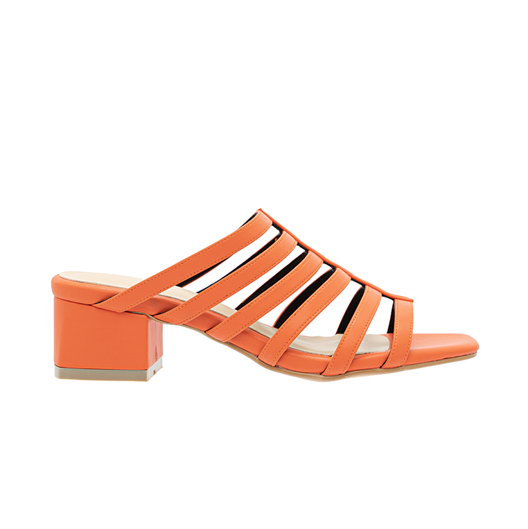 #color_orange