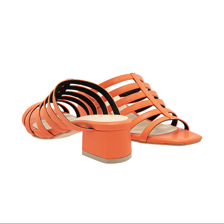 #color_orange